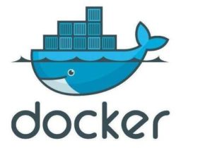 Docker 安装 Nginx