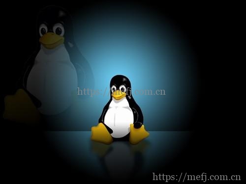 Linux 磁盘分区和挂载